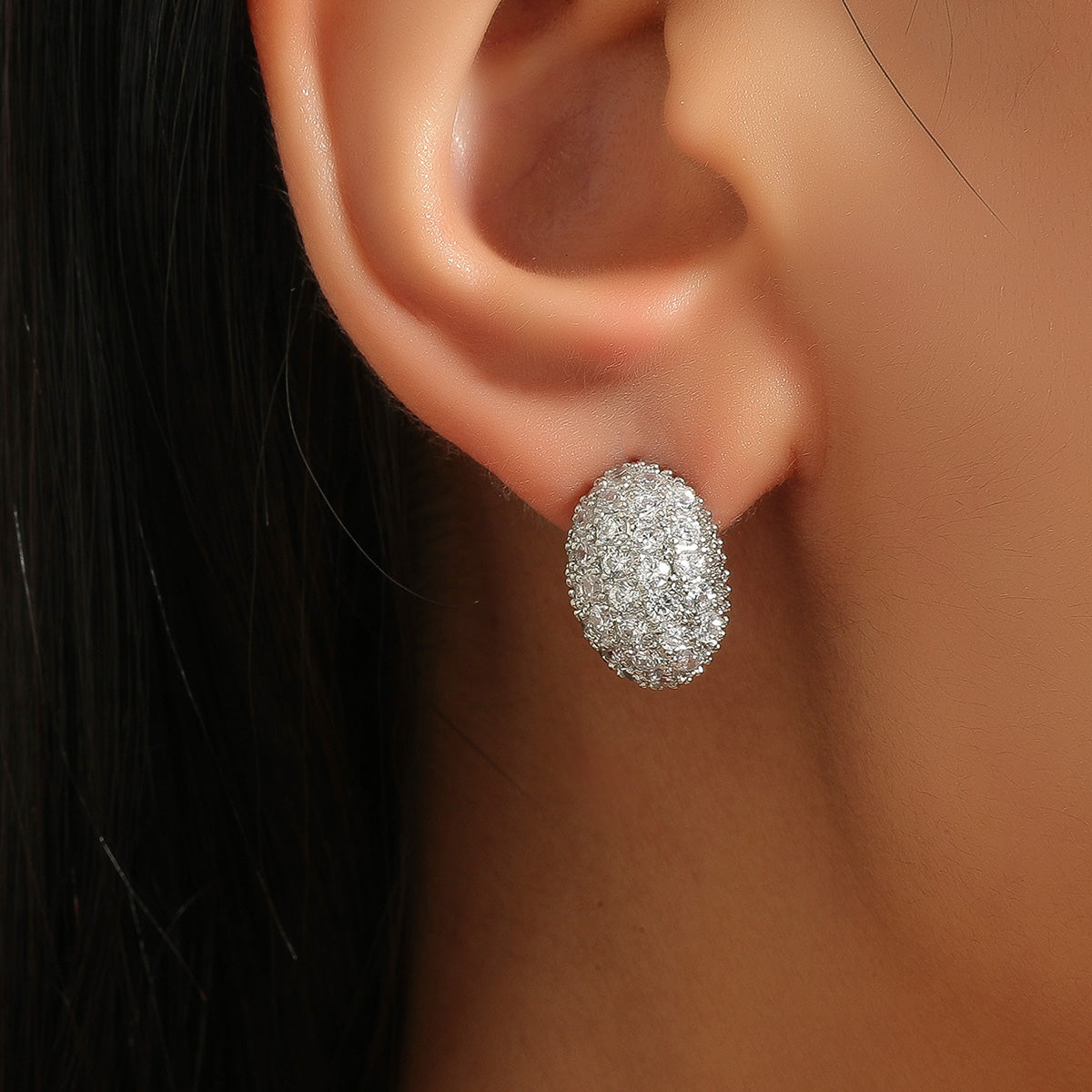 Oval Shaped Crystal Filled Earrings