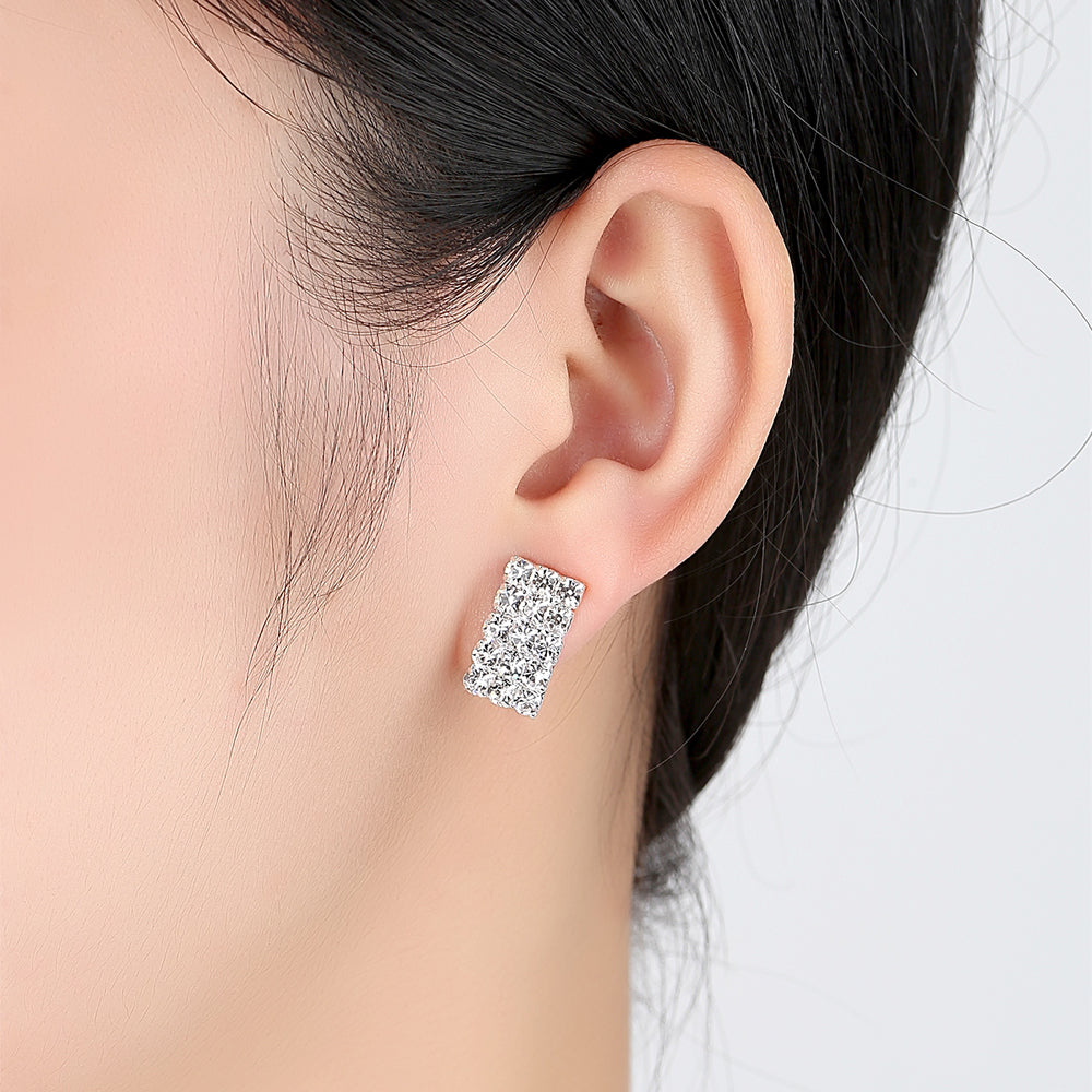 Beautiful Crystal Filled Stud Earrings