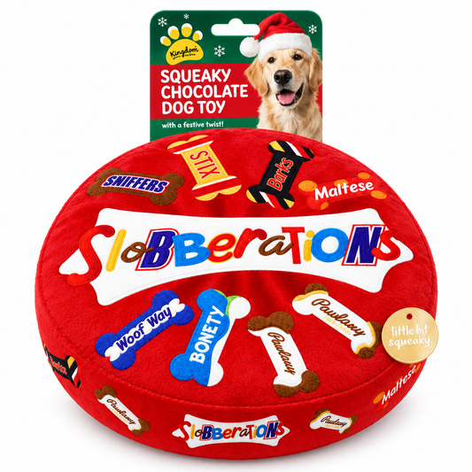 Christmas Chocolate Box Squeaky Dog Toy