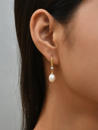 Pearl Drop Hook Zircon Crystals Gold Plated Earrings