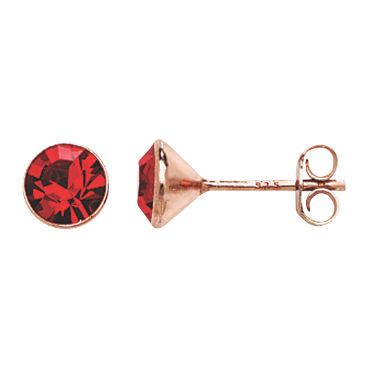 S925 Sterling Silver Ruby Sparkle Stud Earrings