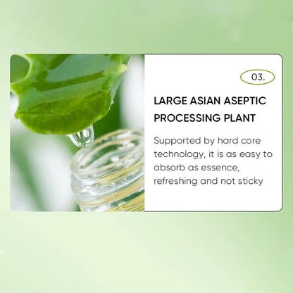 SADOER Aloe Vera Good Night Gel Mask 24pcs