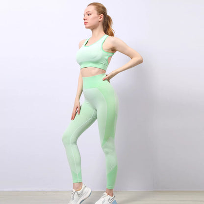 2 Pieces Yoga Gym Set Women Fitness Suit Leggings Jacket Bra in Lime Green