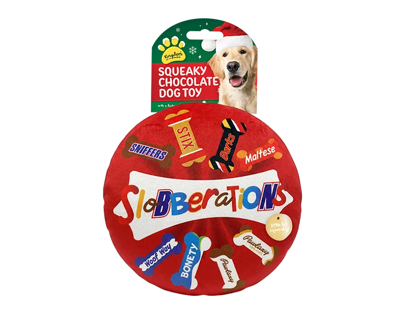 Christmas Chocolate Box Squeaky Dog Toy